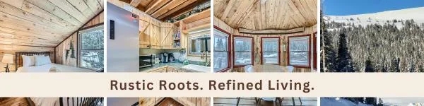 High River Court Alma modern cabin with alpine views