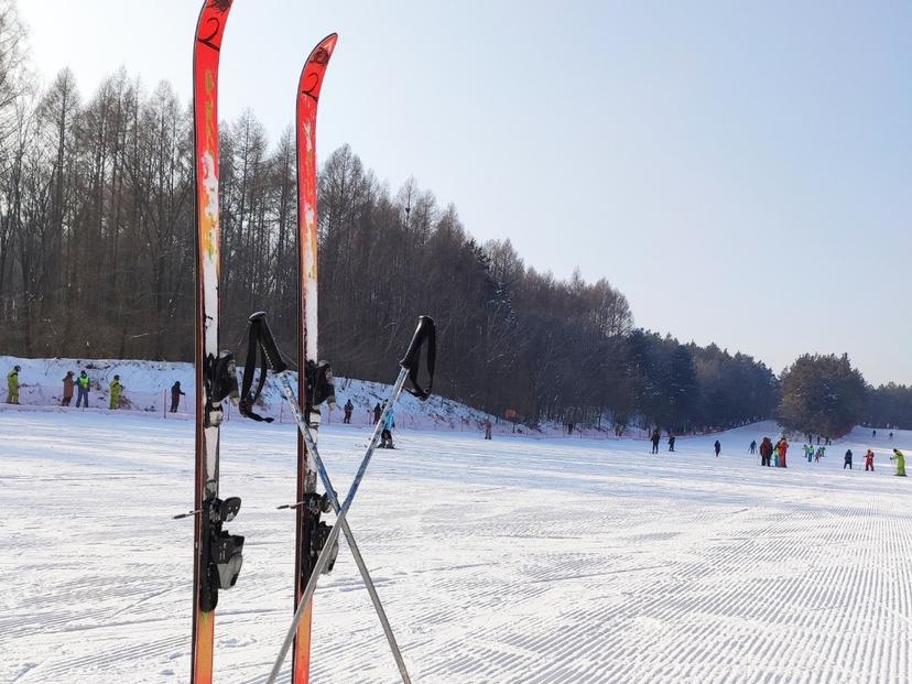Ski-In/Ski-Out Properties
