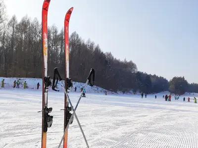 Ski-In/Ski-Out Properties